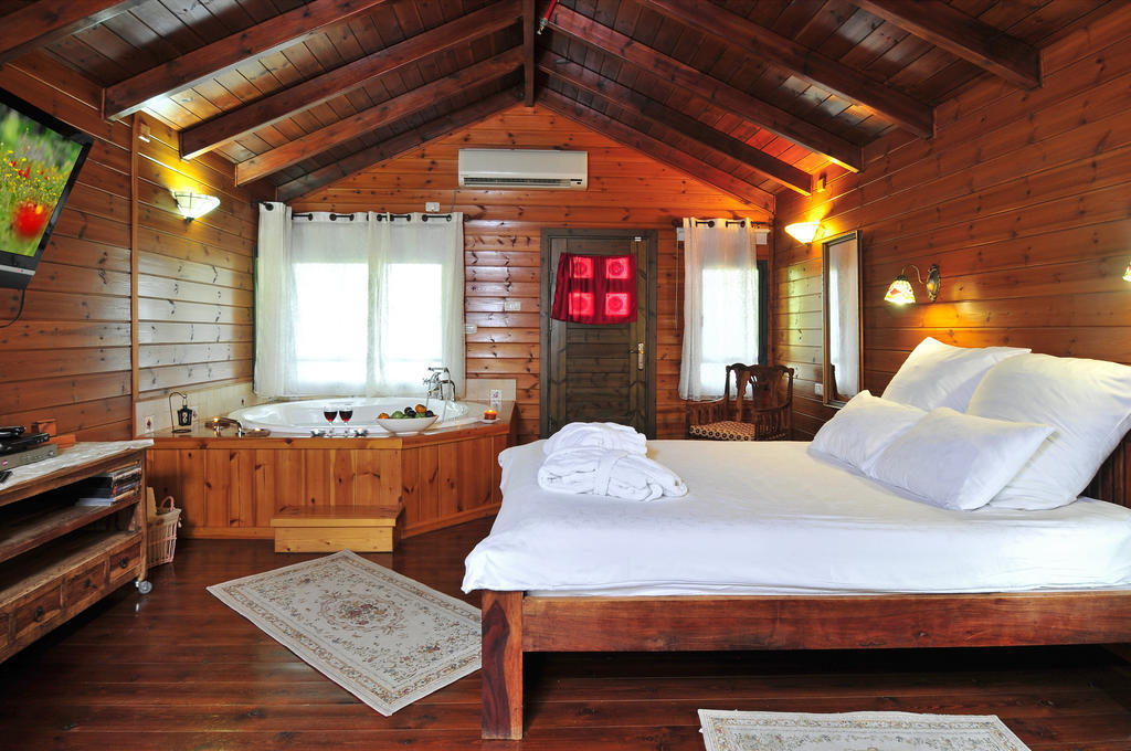Bikta Banof Apartment Rosh Pinna Room photo